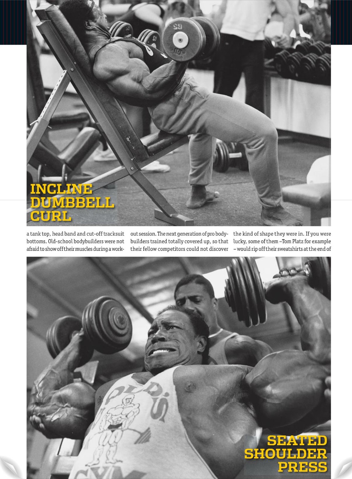 2012 Bodybuilding images | MuscleMecca Bodybuilding Forum