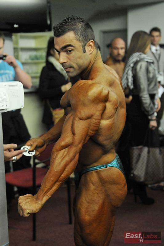 2012 Bodybuilding images