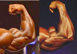 2012 Bodybuilding images