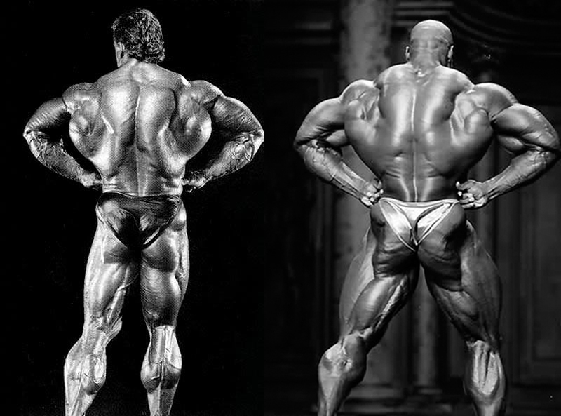 2012 Bodybuilding images