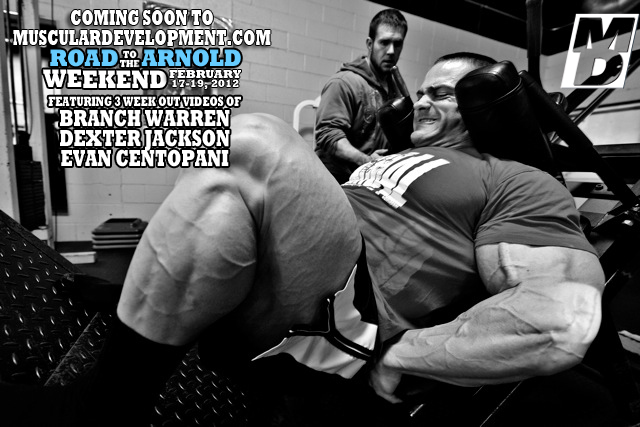 2012 Bodybuilding images