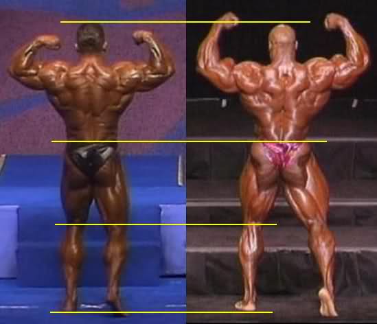 2012 Bodybuilding images