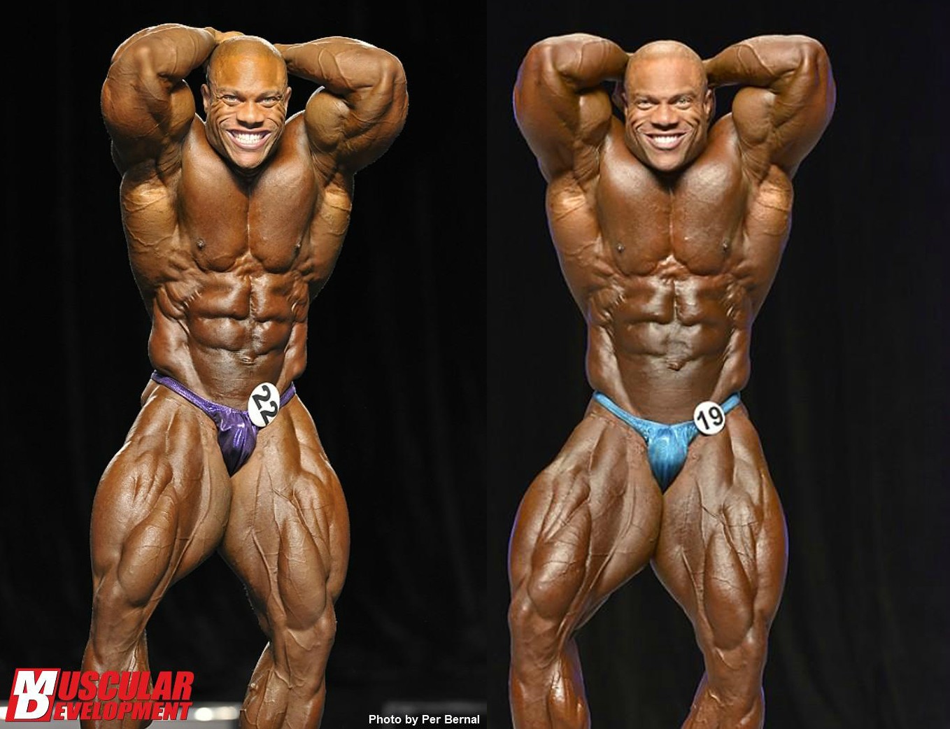 2012 Bodybuilding images