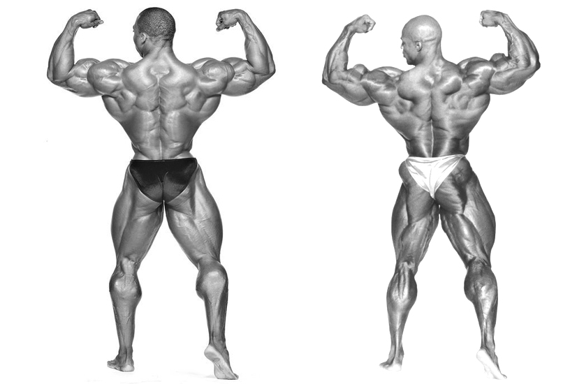 2012 Bodybuilding images