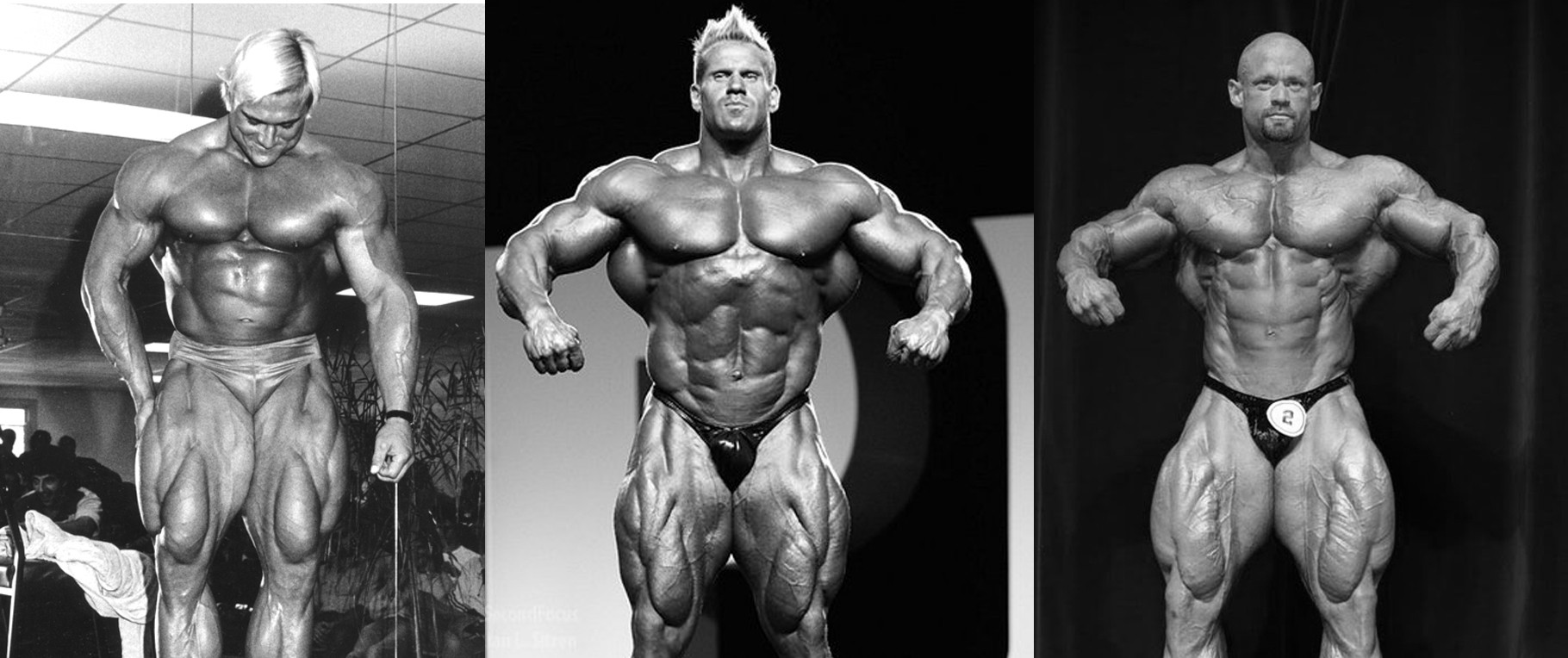 2012 Bodybuilding images