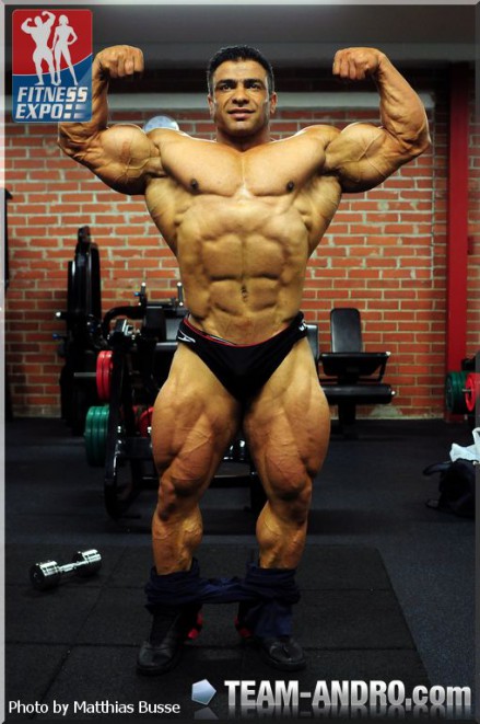 2012 Bodybuilding images