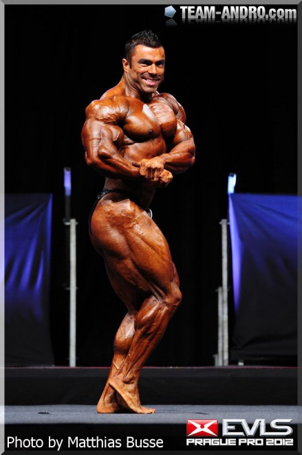 2012 Bodybuilding images