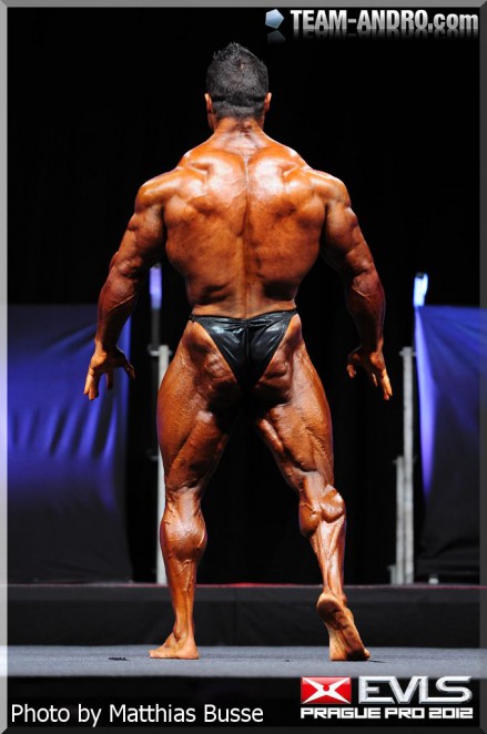 2012 Bodybuilding images