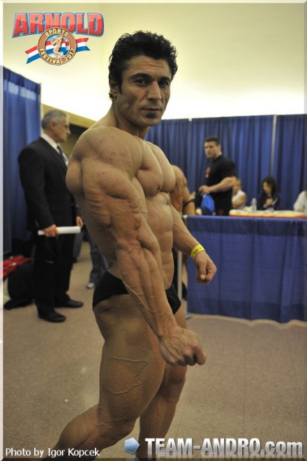 2012 Bodybuilding images