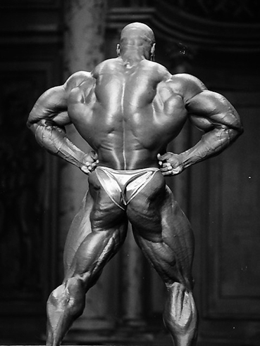 2012 Bodybuilding images