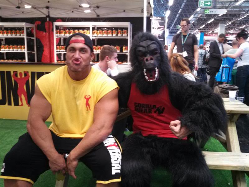 2013 Bodybuilding Images | MuscleMecca Bodybuilding Forum