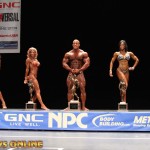 2013 Bodybuilding Images