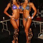 2013 Bodybuilding Images