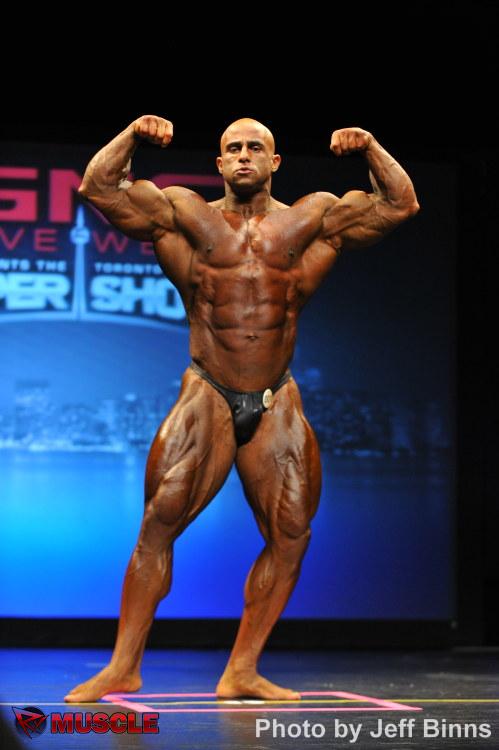 2013 Bodybuilding Images