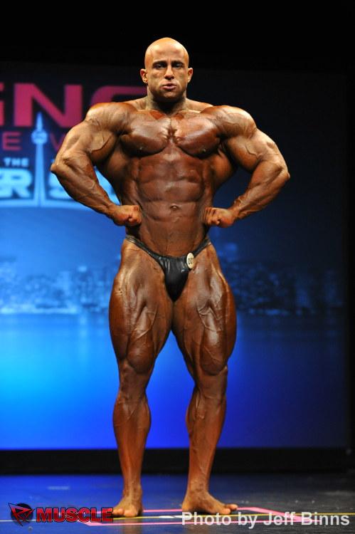 2013 Bodybuilding Images