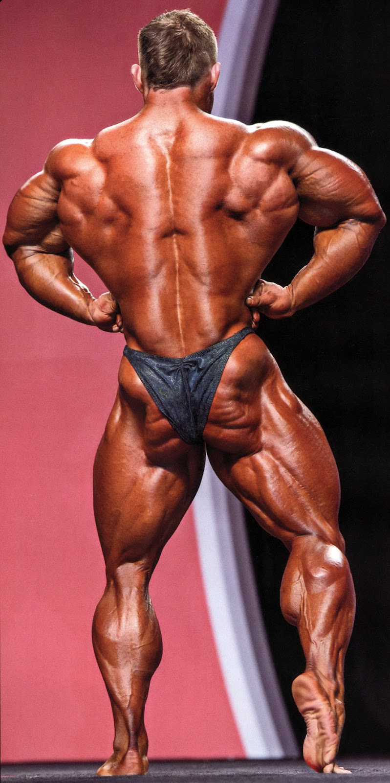 2013 Bodybuilding Images