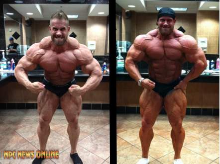 2013 Bodybuilding Images