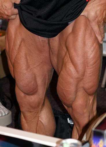 2013 Bodybuilding Images