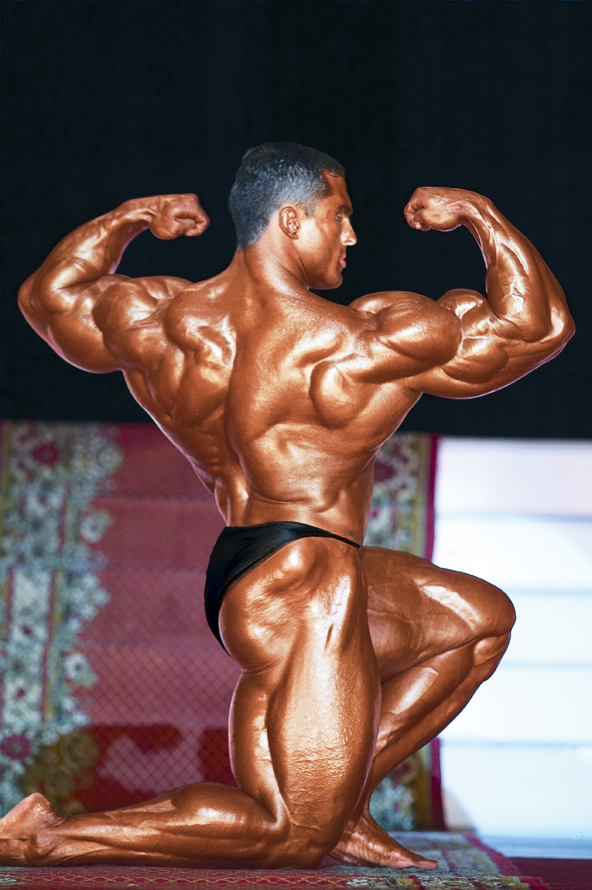 2013 Bodybuilding Images