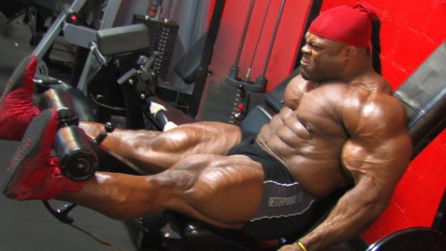 2013 Bodybuilding Images