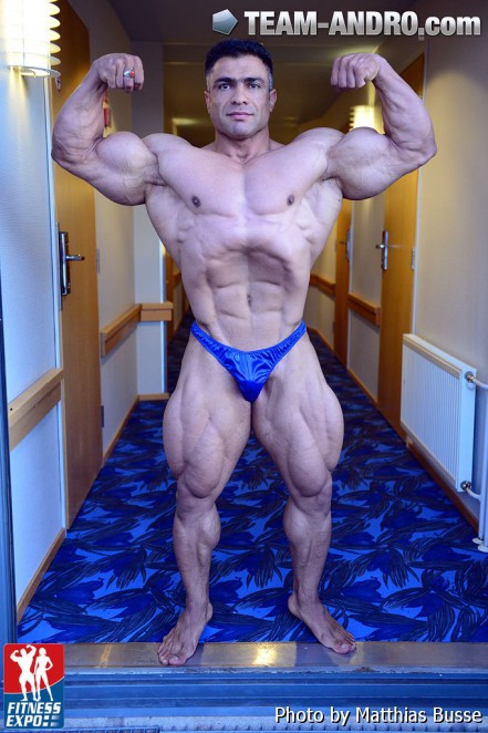 2013 Bodybuilding Images