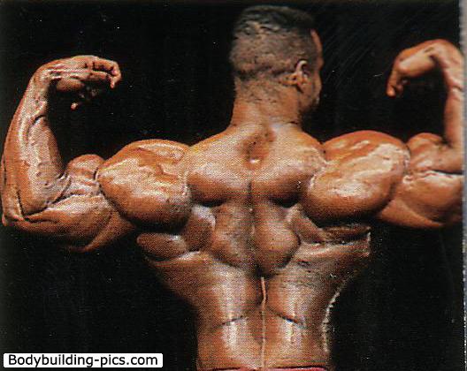 2013 Bodybuilding Images