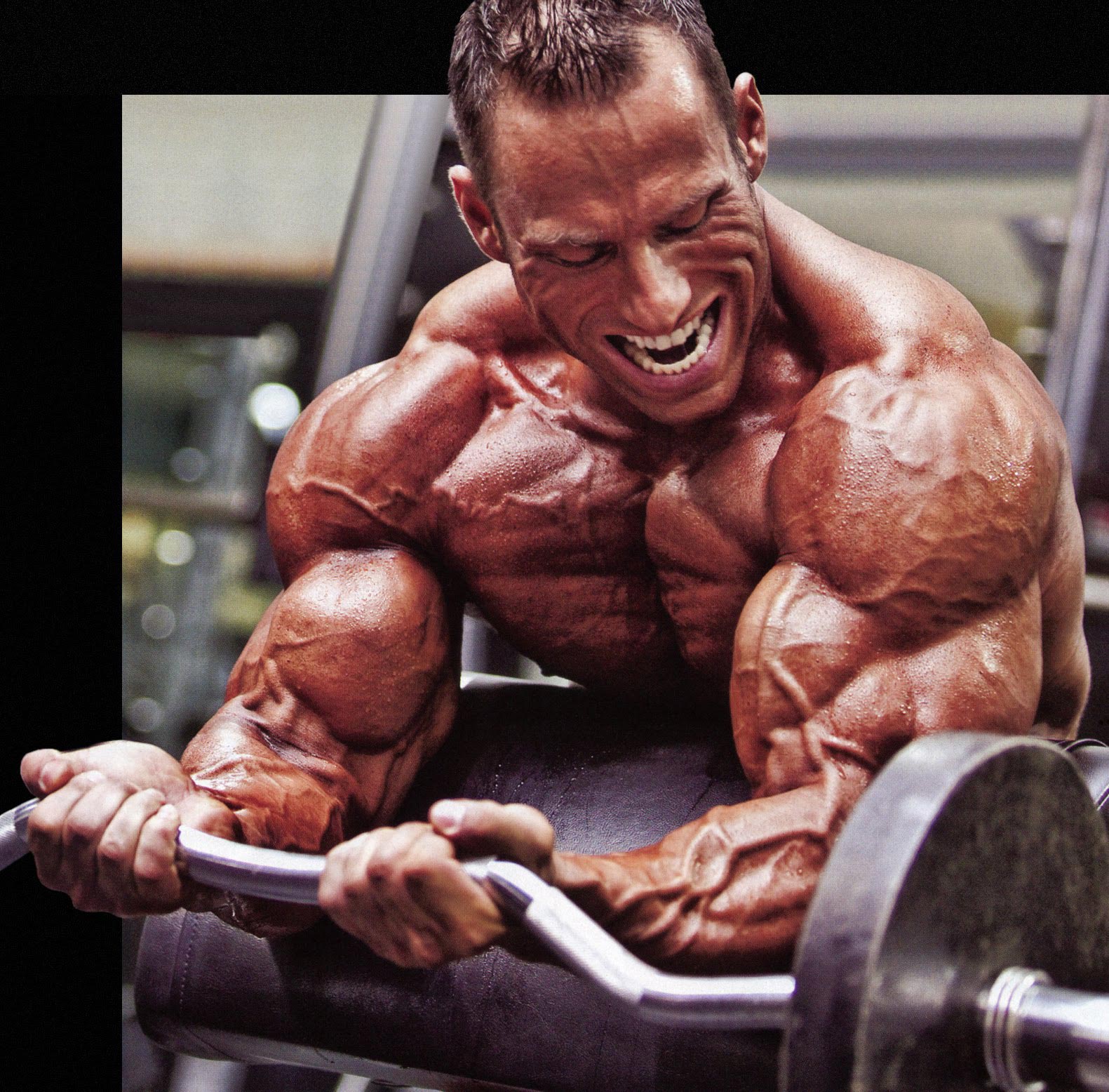 2013 Bodybuilding Images