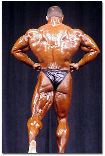 2013 Bodybuilding Images