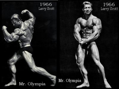 2013 Bodybuilding Images