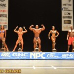 2013 Bodybuilding Images