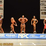 2013 Bodybuilding Images