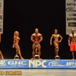 2013 Bodybuilding Images