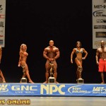 2013 Bodybuilding Images