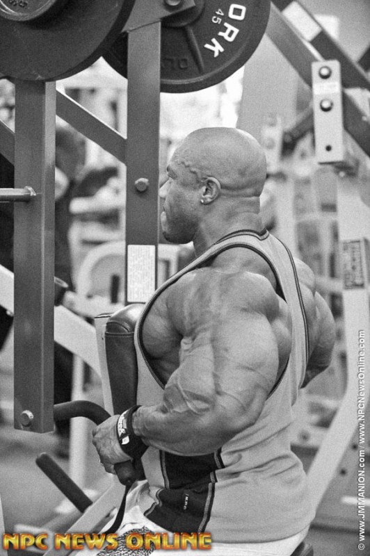 2013 Bodybuilding Images