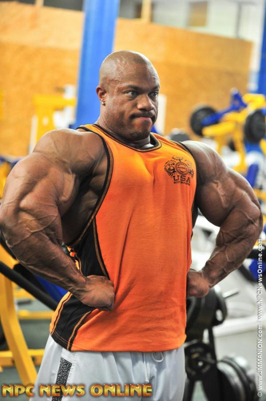 2013 Bodybuilding Images