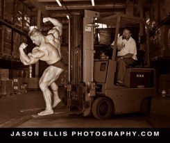 2013 Bodybuilding Images