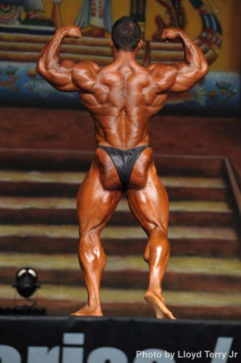 2013 Bodybuilding Images