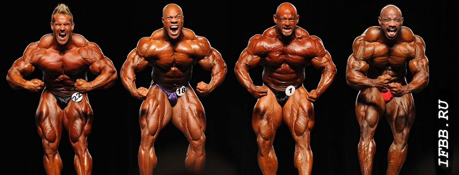 2013 Bodybuilding Images