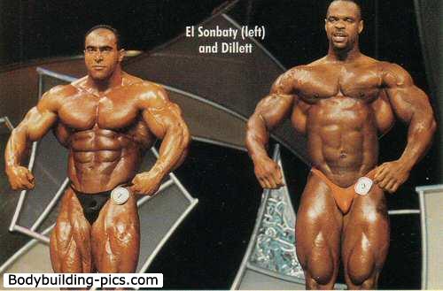 2013 Bodybuilding Images