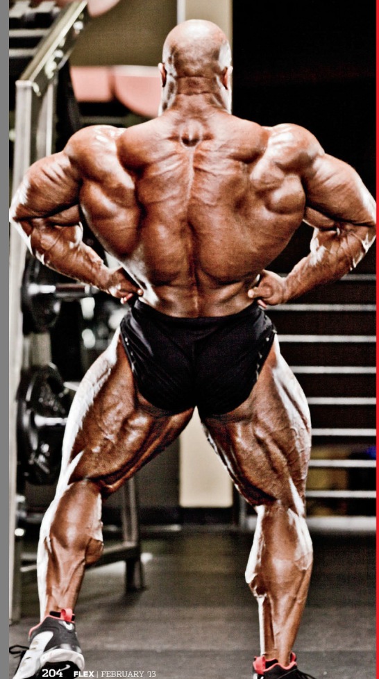 2013 Bodybuilding Images