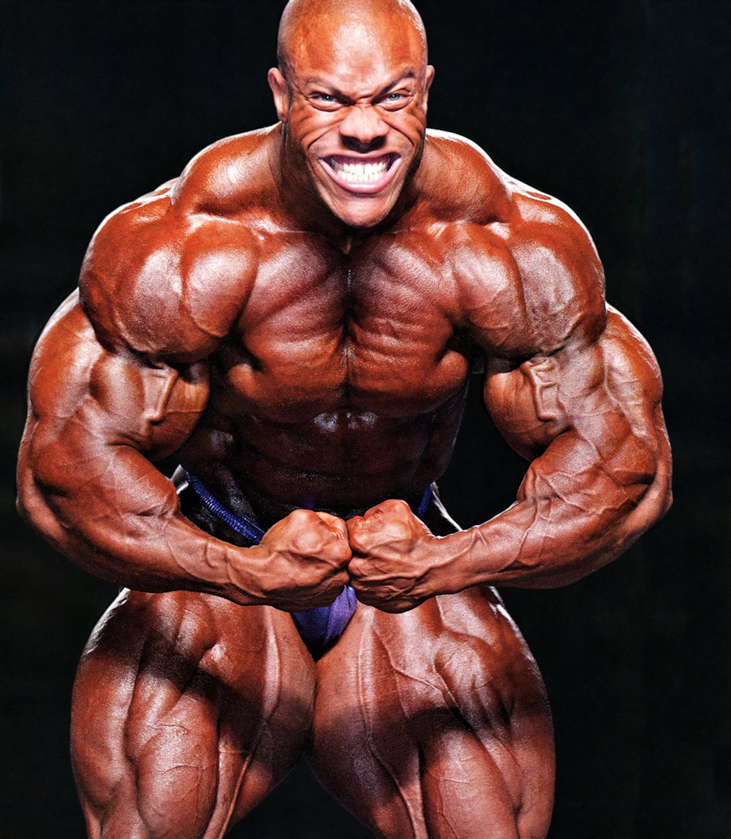 2013 Bodybuilding Images