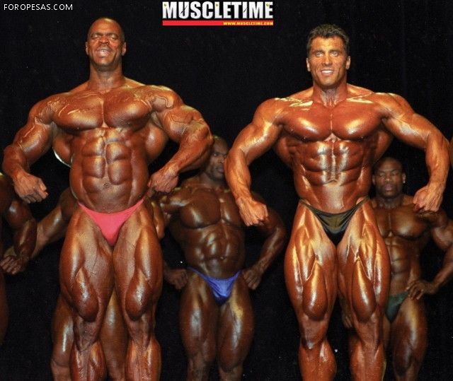 2013 Bodybuilding Images