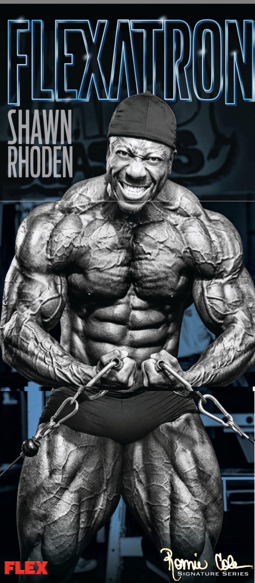 2013 Bodybuilding Images