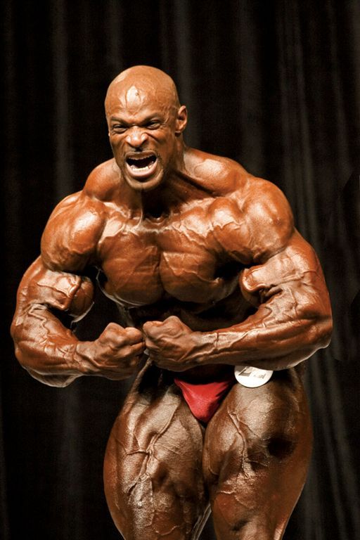 2013 Bodybuilding Images