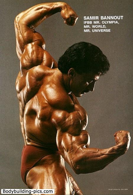 2013 Bodybuilding Images