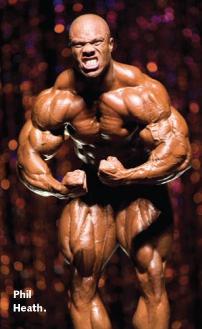 2013 Bodybuilding Images