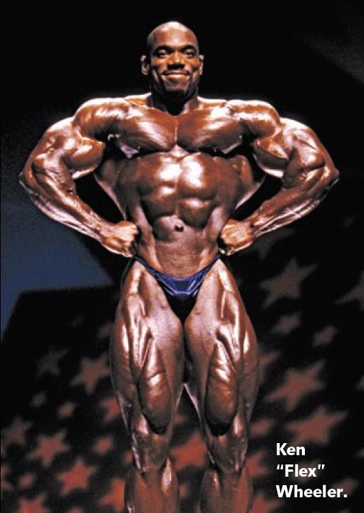 2013 Bodybuilding Images