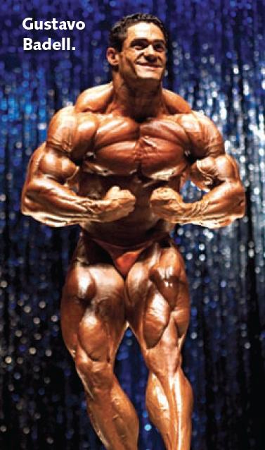 2013 Bodybuilding Images