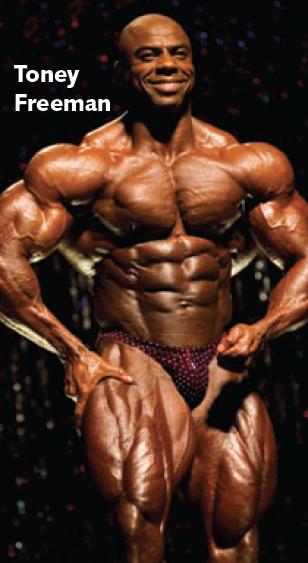 2013 Bodybuilding Images