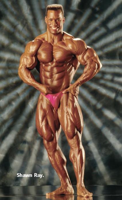 2013 Bodybuilding Images